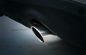 Audi Q5 2009 2013 Dekorasyon Yedek Parça Paslanmaz Çelik Kuyruk Vent-Boru Kapağı Tedarikçi